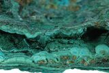 Brilliant Teal Botryoidal Chrysocolla and Malachite - Chile #299545-1